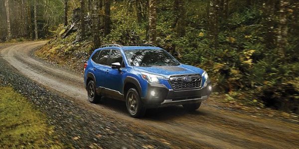 2024 Subaru Forester Wilderness